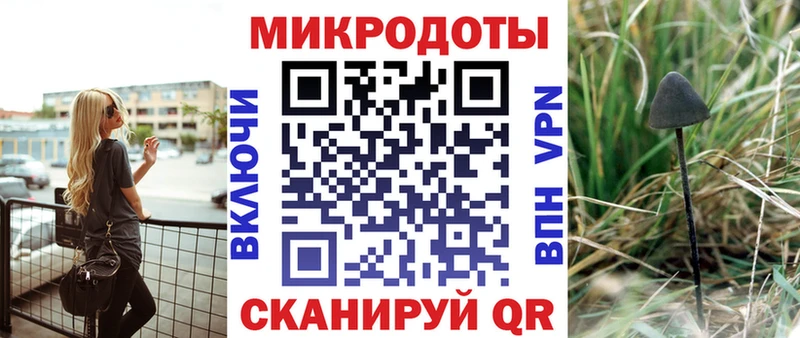 Псилоцибиновые грибы Psilocybe Кунгур